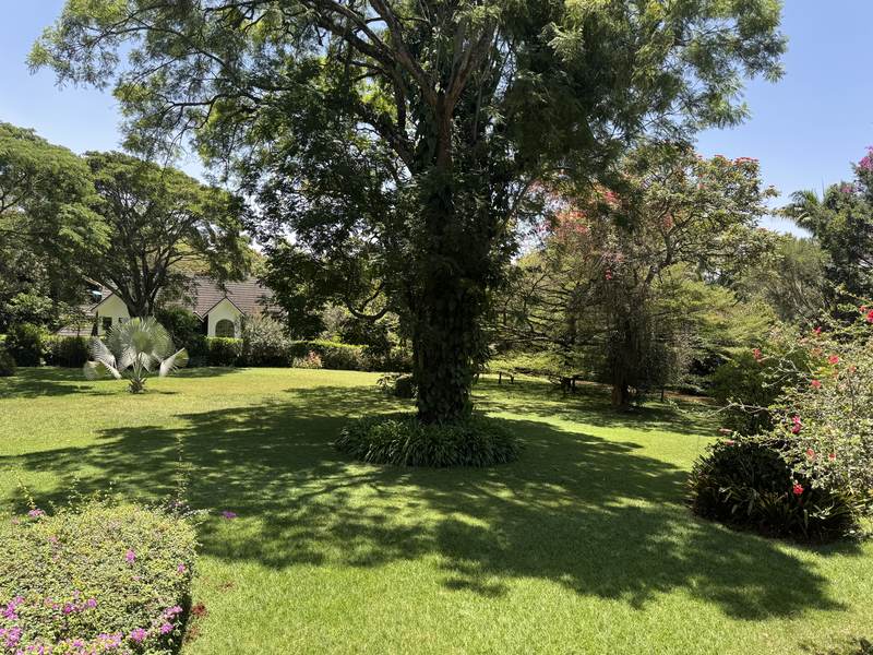 Serengeti Manor - Gallery 14